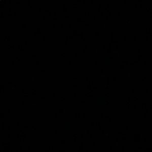 Meet your Posher, Savannah